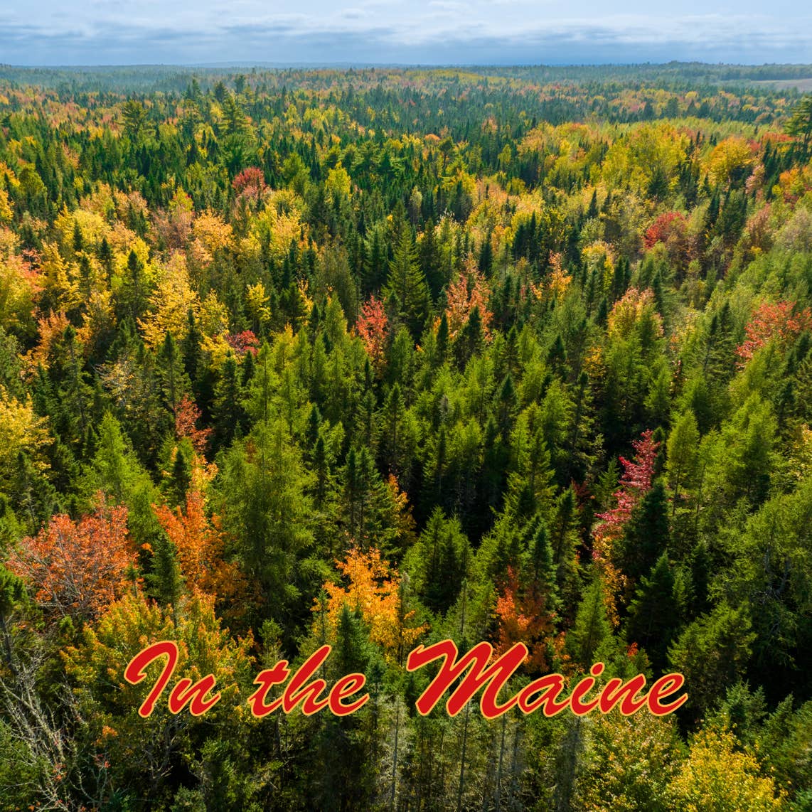 Album cover for "In rhe Maine"
